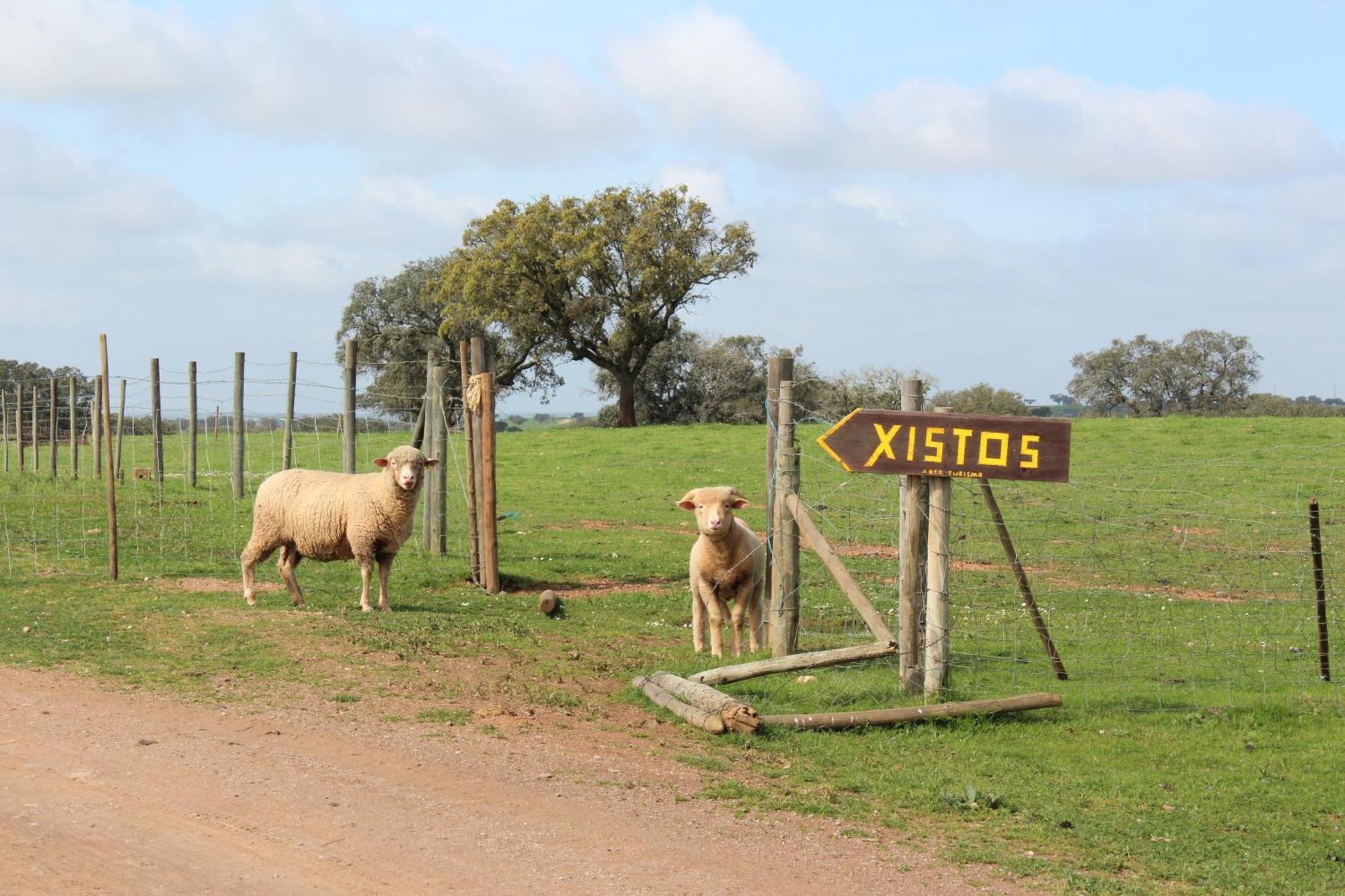 Agroturismo Xistos Cerca Exterior foto